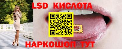 дмт Гай