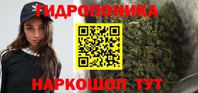 гидропоника Гагарин
