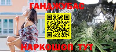 дмт Гай