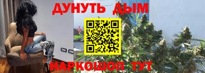 дмт Гай