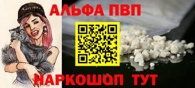 дмт Гай