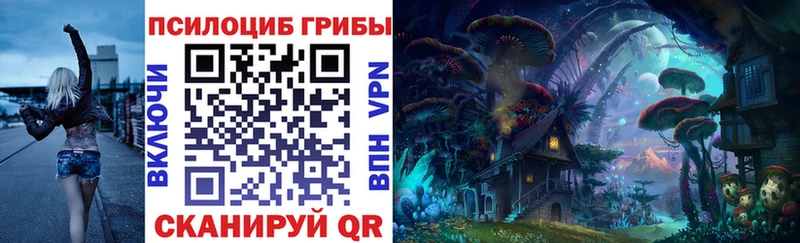 Галлюциногенные грибы Psilocybine cubensis OMG ONION Гай
