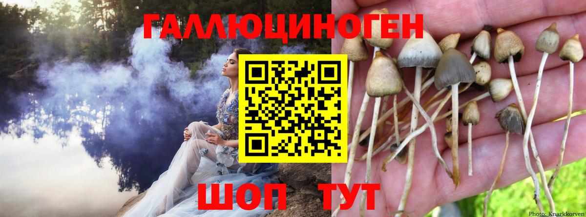 Галлюциногенные грибы мухоморы Гай