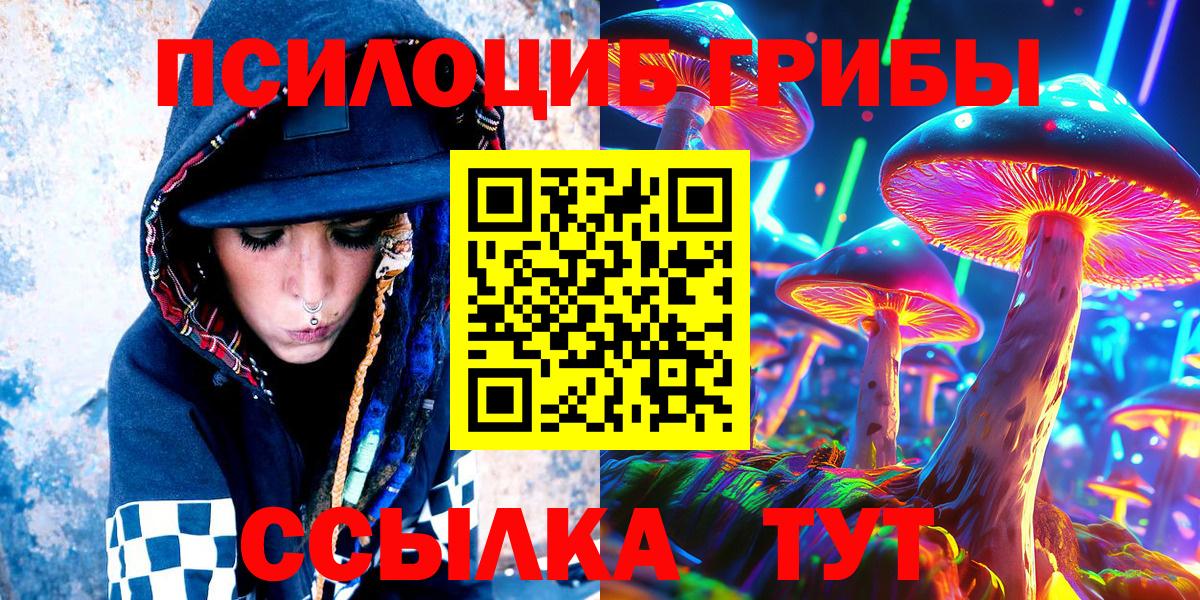 Гай  Псилоцибиновые грибы Cubensis  Вход с VPN 