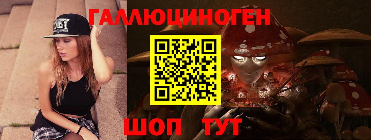 Гай  Псилоцибиновые грибы Cubensis  Вход с VPN 